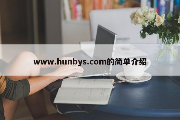 www.hunbys.com的简单介绍