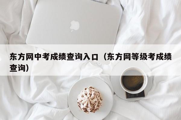 东方网中考成绩查询入口（东方网等级考成绩查询）