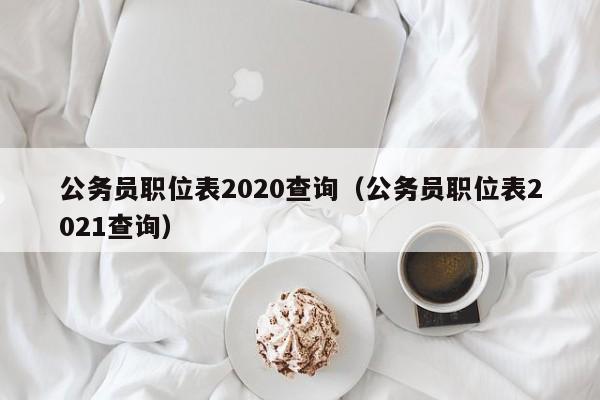 公务员职位表2020查询（公务员职位表2021查询）