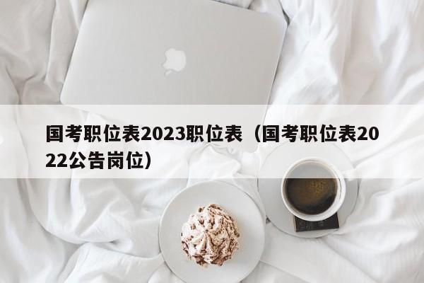 国考职位表2023职位表（国考职位表2022公告岗位）