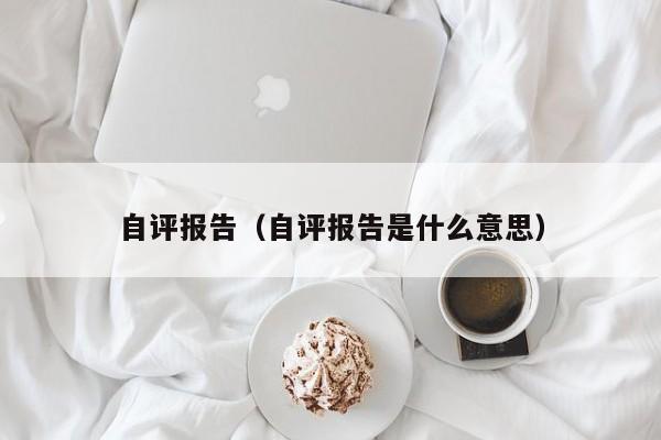 自评报告（自评报告是什么意思）