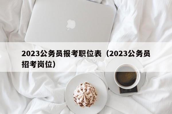 2023公务员报考职位表（2023公务员招考岗位）