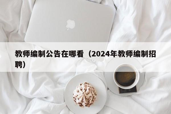 教师编制公告在哪看（2024年教师编制招聘）