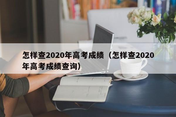 怎样查2020年高考成绩（怎样查2020年高考成绩查询）