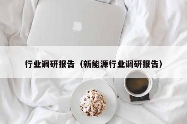 行业调研报告（新能源行业调研报告）