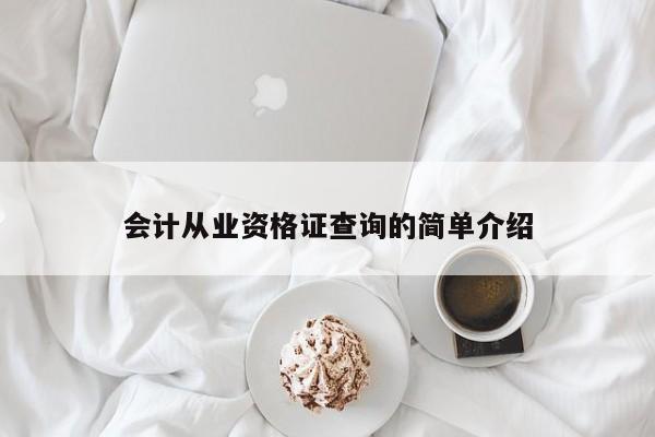 会计从业资格证查询的简单介绍