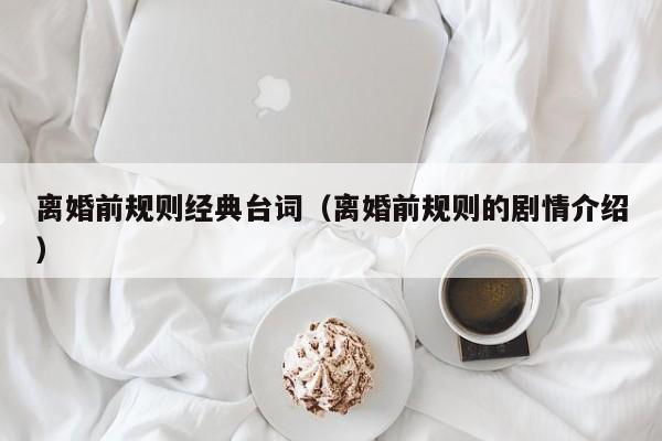 离婚前规则经典台词（离婚前规则的剧情介绍）